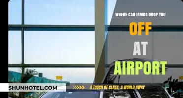 Limo Drop-off: Airport Zones and Rules