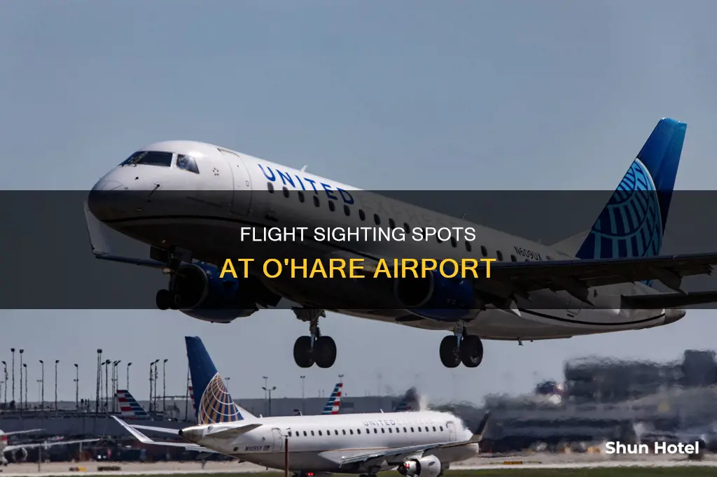 where can we do flight sighting in o