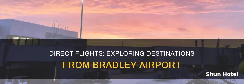 where can you fly direct from bradley airport