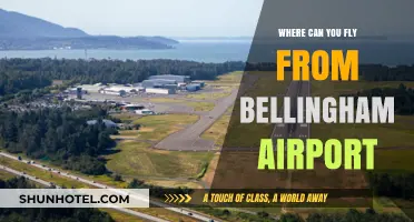 Explore Flight Options from Bellingham Airport