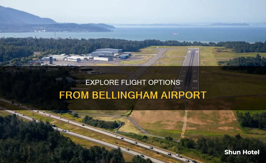 where can you fly from bellingham airport