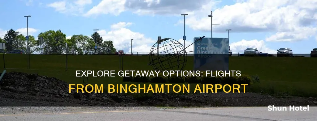 where can you fly from binghamton airport