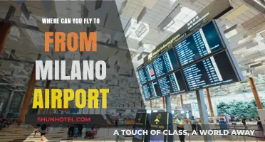 Milano Airport: Global Destinations from Italy's Hub