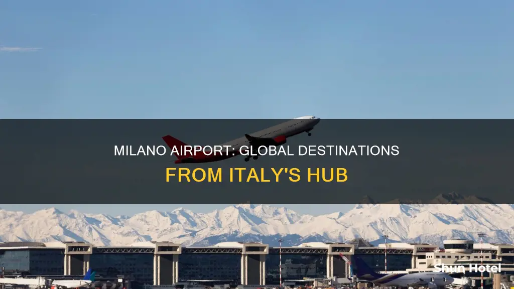 where can you fly to from milano airport