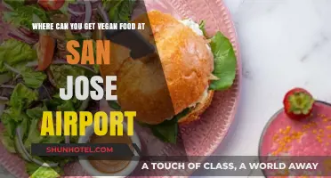 Vegan Food Options at San Jose Airport