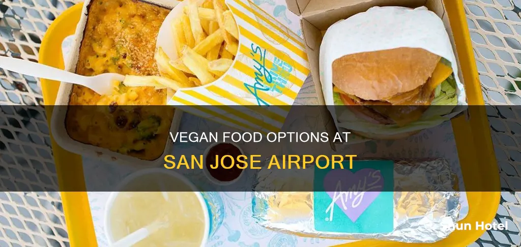where can you get vegan food at san jose airport