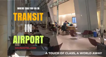 Exploring Transit Options at Airports