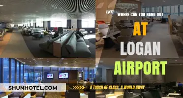 Explore Logan Airport's Best Hangout Spots