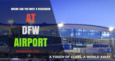 Best Places to Greet Your DFW Airport Guests