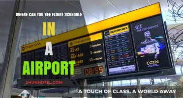 Flight Schedules: Airport Display Screens