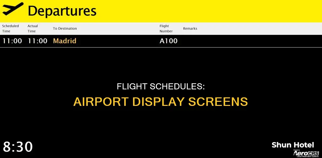where can you see flight schedule in a airport