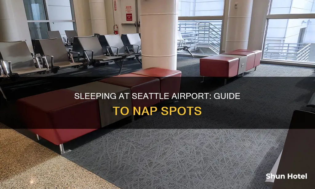 where can you sleep at the seattle airport