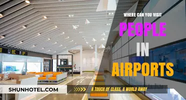 Explore Airports: Where to Meet and Greet