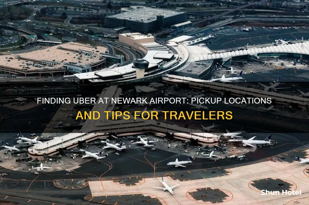 where canni get an uber at newark airport