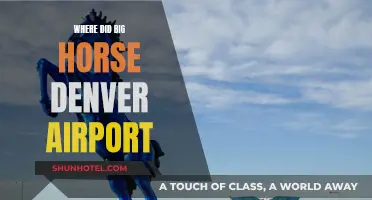 The Mystery of Denver Airport's Big Horse: An Artistic Enigma