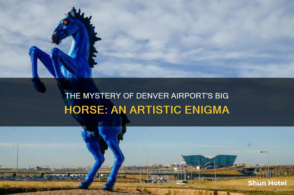 where did big horse denver airport