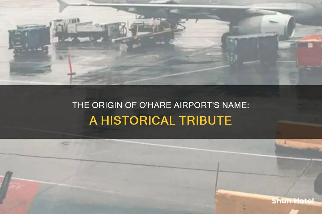 where did o
