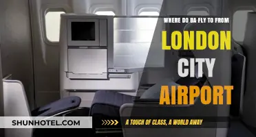 BA's London City Airport Destinations: Exploring Routes and Travel Options
