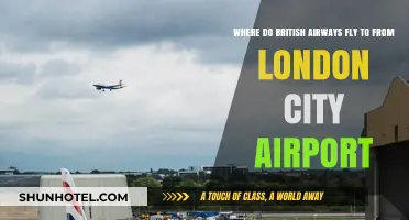 British Airways Destinations: London City Airport's Global Reach Explored