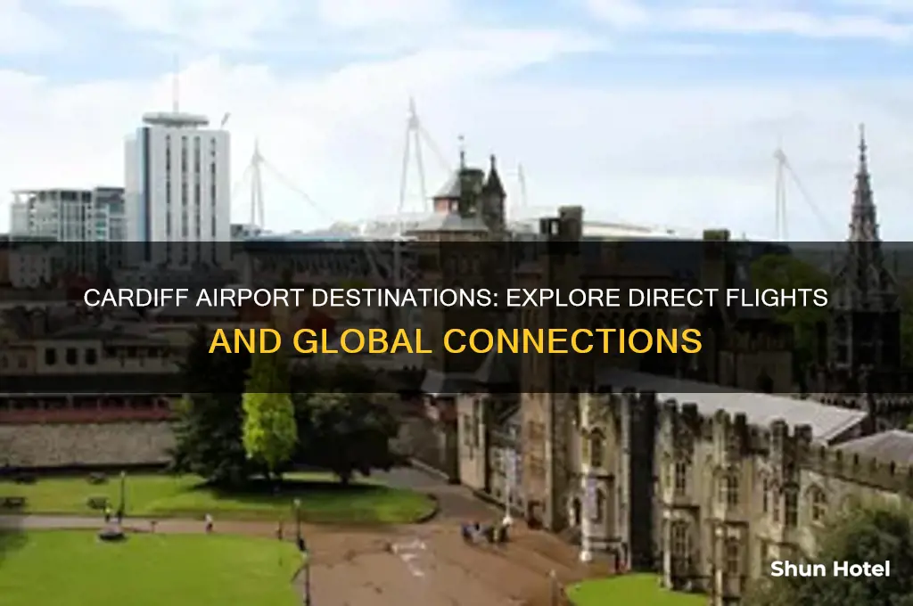 where do cardiff airport fly to