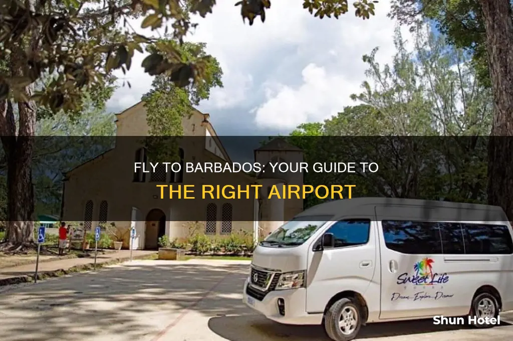where do i fly into for barbados what airport