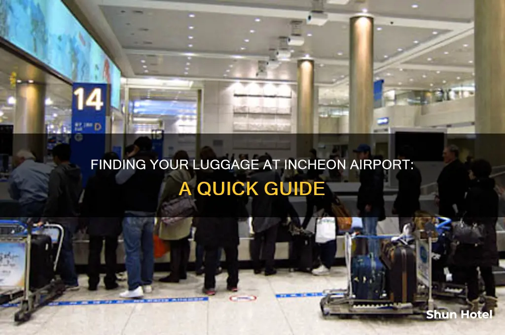 where do i get my laguage in incheon airport