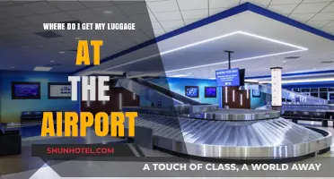 Airport Luggage Claim Guide: Locating Your Bags After Landing