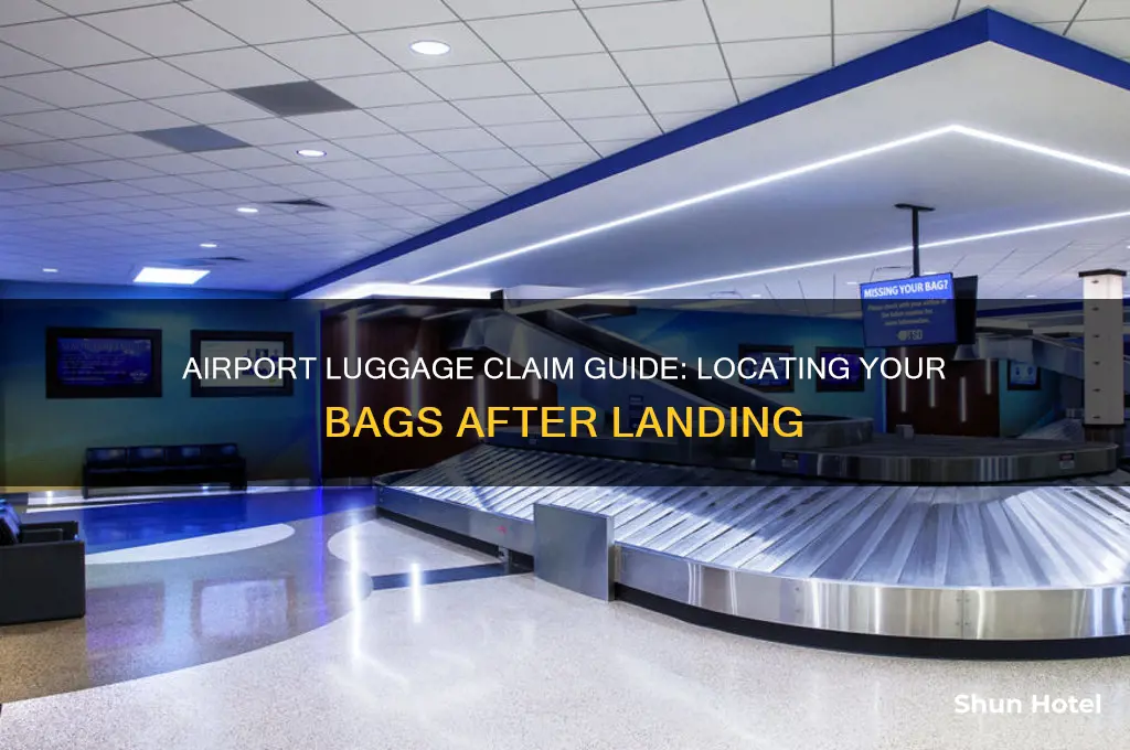 where do i get my luggage at the airport