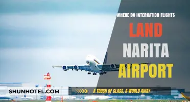 International Flights at Narita Airport: Terminal Guide and Landing Details