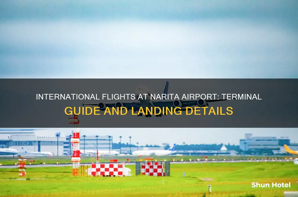 where do internation flights land narita airport