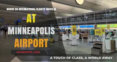 Navigating Minneapolis Airport: International Flight Check-In Guide