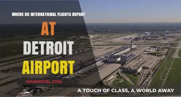 Navigating Detroit Airport: International Flight Departure Terminal Guide
