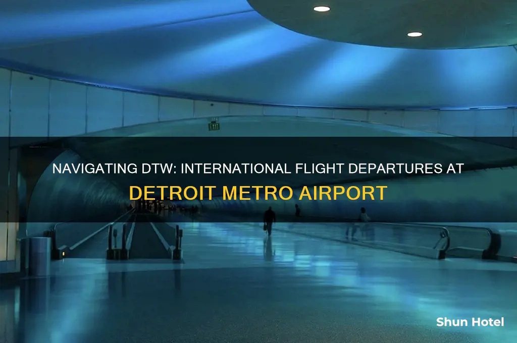 where do international flights leave at dtw airport