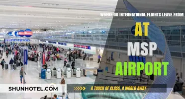 MSP Airport International Departures: Terminal Guide for Global Travelers