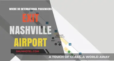 Navigating Nashville Airport: International Passenger Exit Guide