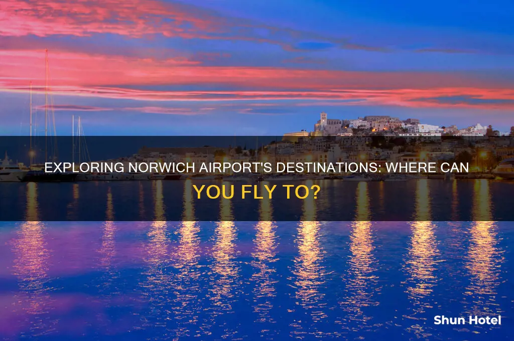 where do planes fly to from norwich airport