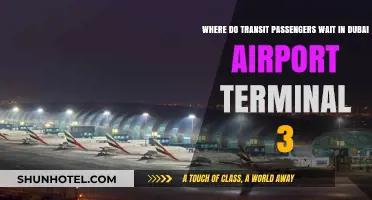 Where to Wait: A Guide to Transit Passenger Lounges in Dubai Airport Terminal 3