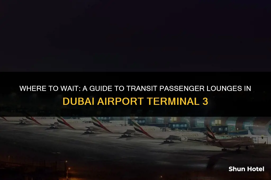 where do transit passengers wait in dubai airport terminal 3