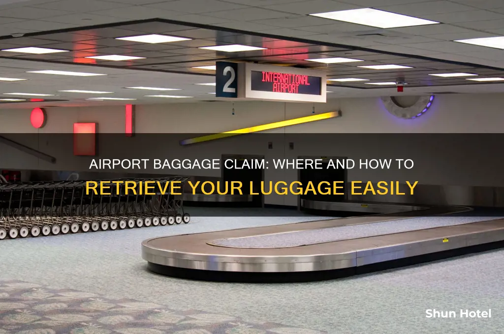 where do you get your bags at an airport