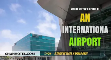 Navigating International Airports: Your First Stop for a Smooth Journey