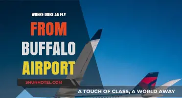 American Airlines Buffalo Airport Destinations: Where Can You Fly?