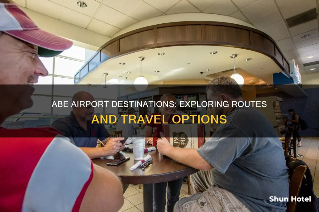 where does abe airport fly to
