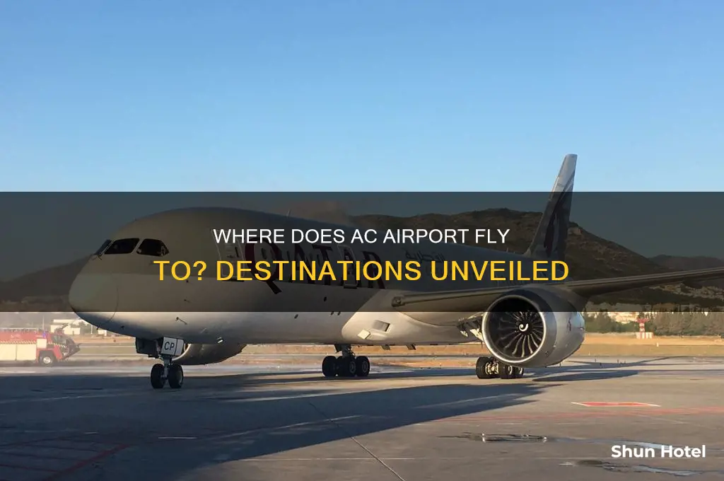 where does ac airport fly to