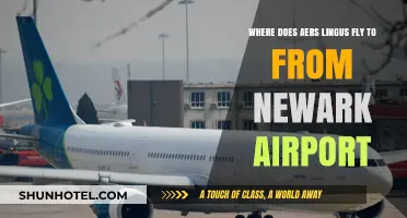 Aer Lingus Destinations from Newark Airport: A Comprehensive Guide