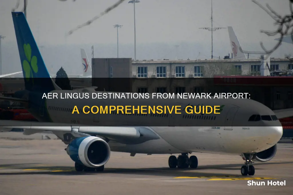 where does aers lingus fly to from newark airport