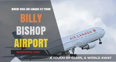Billy Bishop Airport: Air Canada's Short-Haul Hub