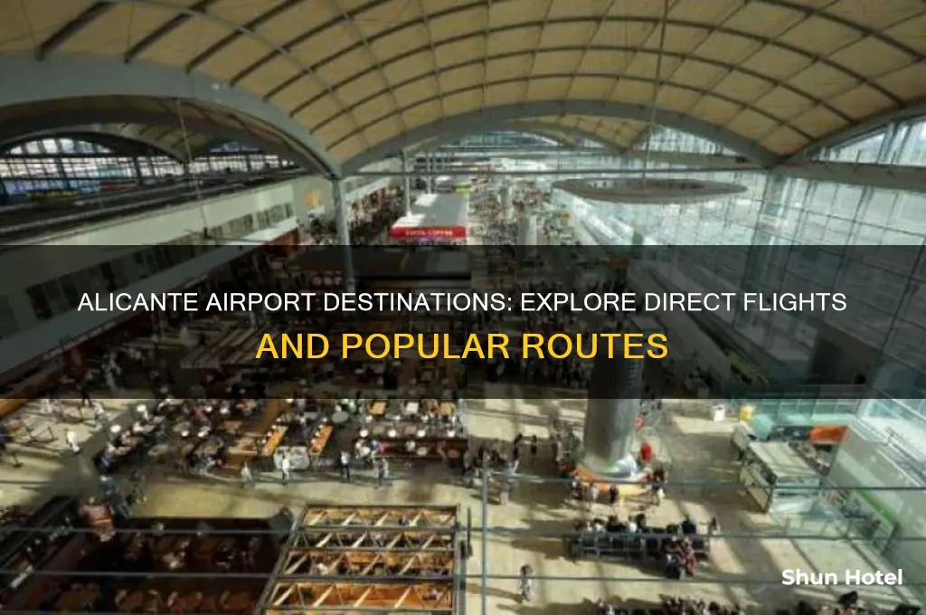 where does alicante airport fly to