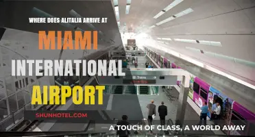 Alitalia's Miami Arrival: Terminal and Gate Guide at MIA