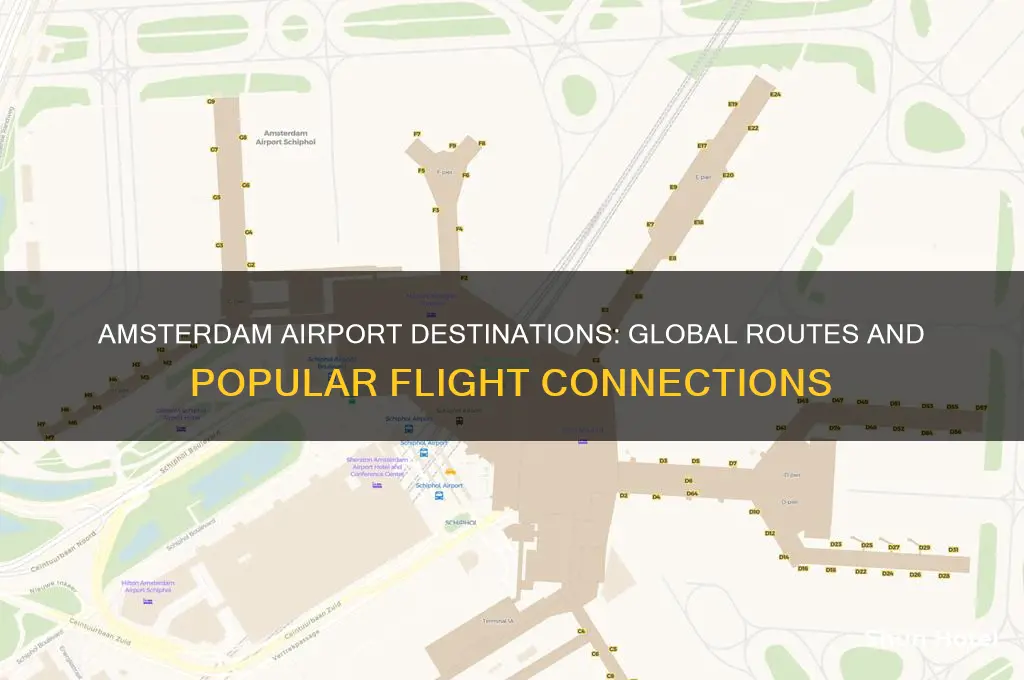 where does amsterdam airport fly to