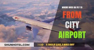 BA's City Airport Destinations: Exploring Routes and Travel Options